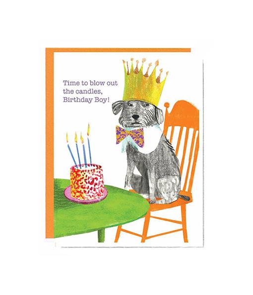 Live Off Leash - Set of 8 Cards