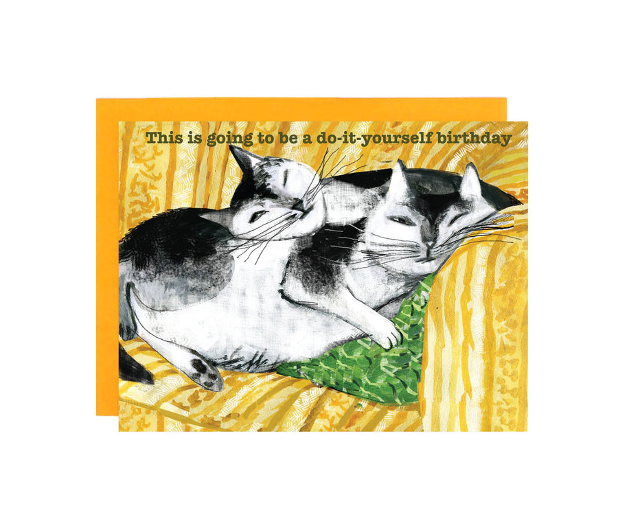 Feline Felicitations - Set of 8 Cards